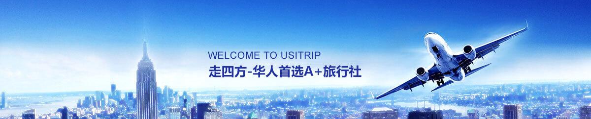 专业团队